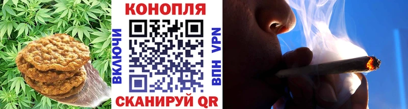 MEGA сайт  Гусев  дарк нет клад  Cannafood марихуана 