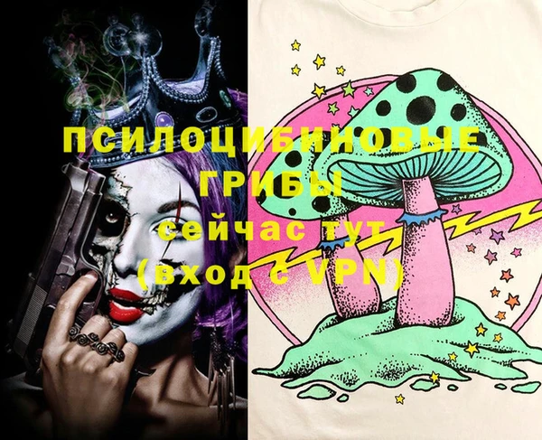 меф Белокуриха
