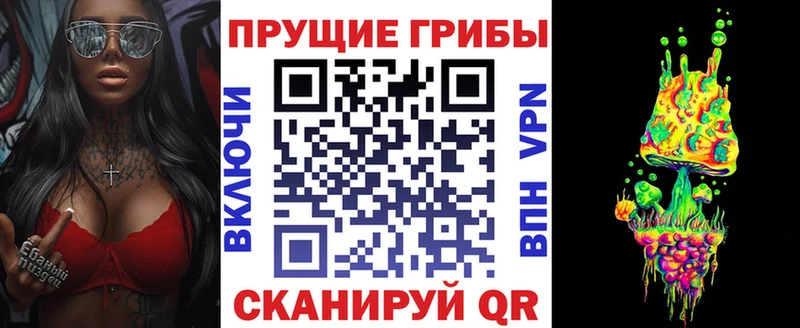 Псилоцибиновые грибы Cubensis  наркота  Гусев 